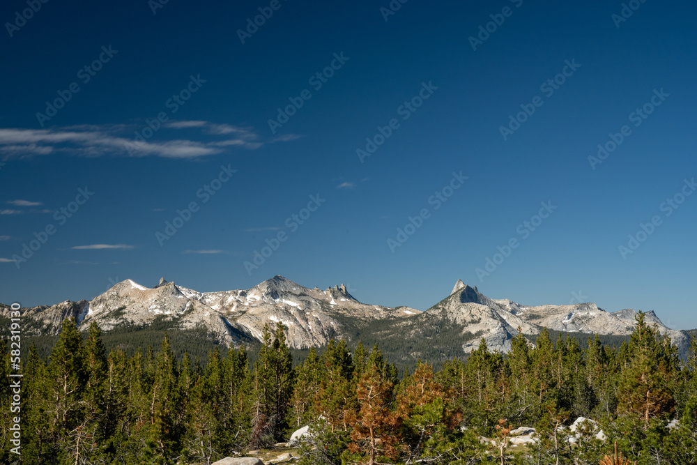 Jagged Peaks of Yosemite High Sierras Behind Pine Trees