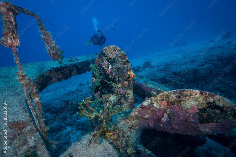 Fototapeta premium Diver explores the wreck of the Fuh Sheng dive site off the Dutch Caribbean island of Sint Maarten