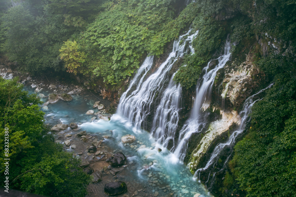 Obraz premium 白糸の滝