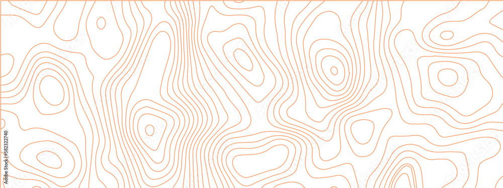 Fototapeta premium Topographic background and texture, monochrome image. 3D waves, White wave paper curved reliefs abstract background, Abstract topographic contours map background, Vector contour topographic map.