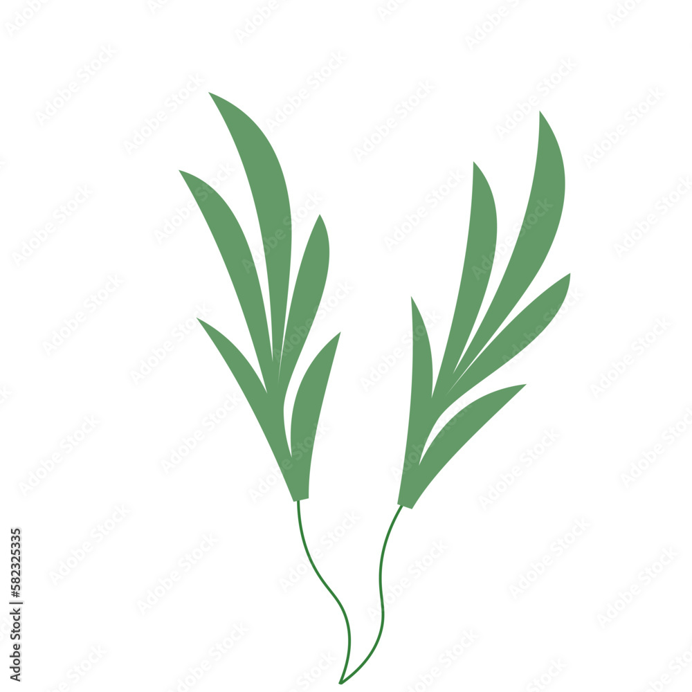 Fototapeta premium Tropical Leaf Element