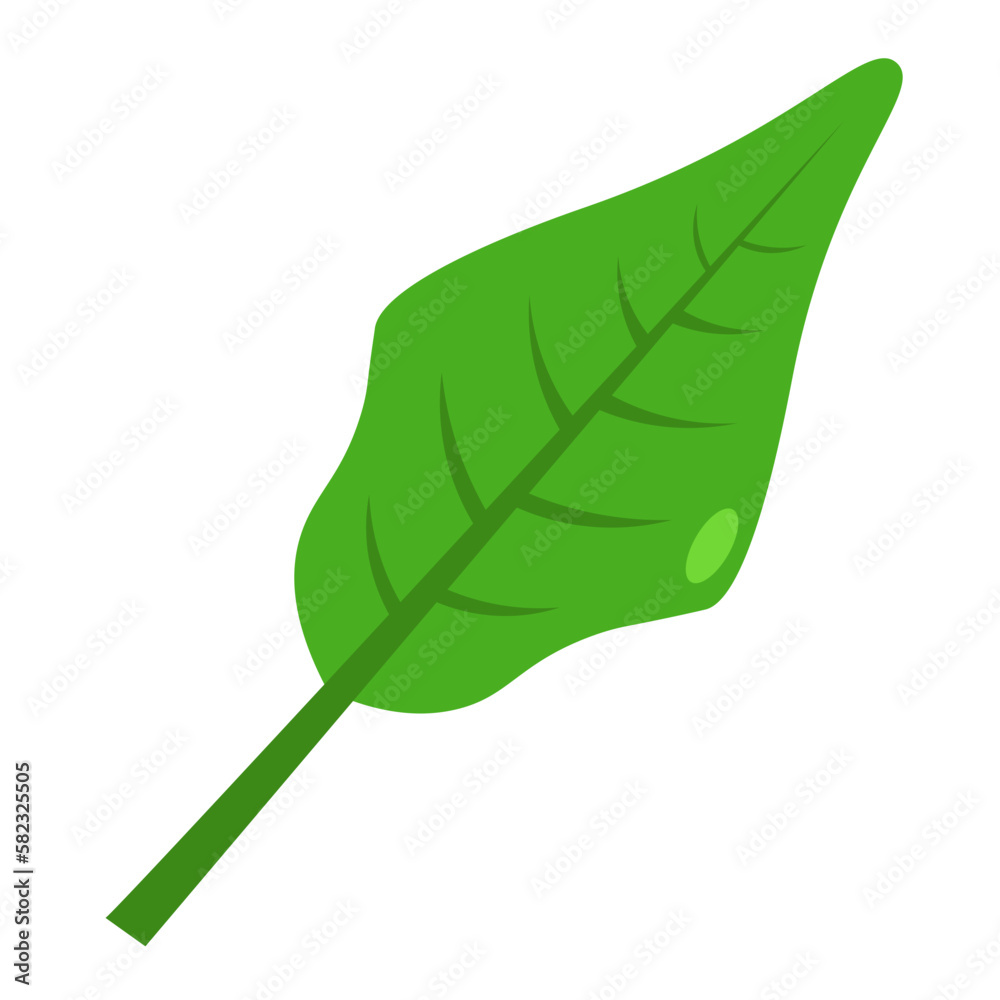 Tropical Leaf Element Tropical Leaf Element