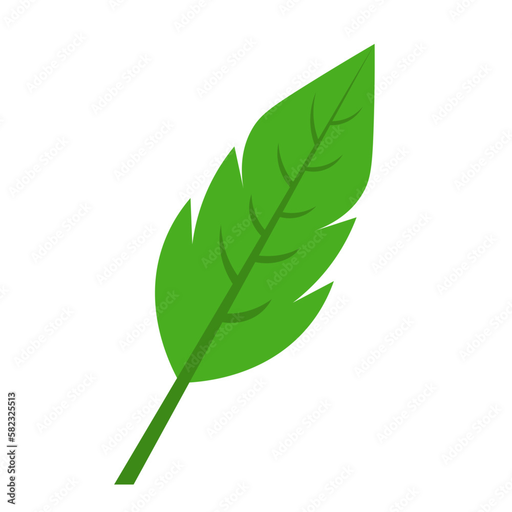 Tropical Leaf Element
