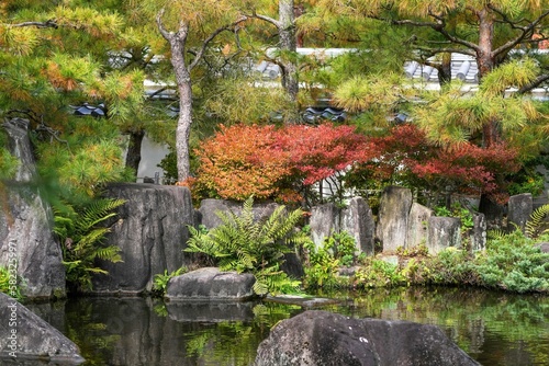 きれいに色づいたドウダンツツジのある秋の日本庭園の情景＠兵庫