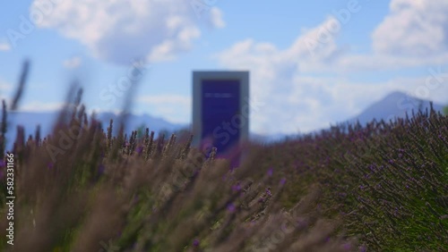 Purple door in a Lavender field with a soft focus

Filmed with a Sony a7s iii