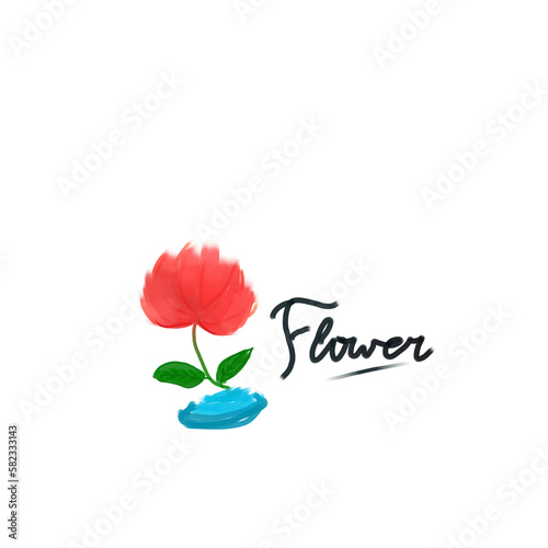 red rose