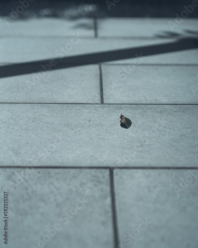 close up of a floor