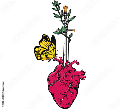 Human heart with butterfly. Colours vector illustration