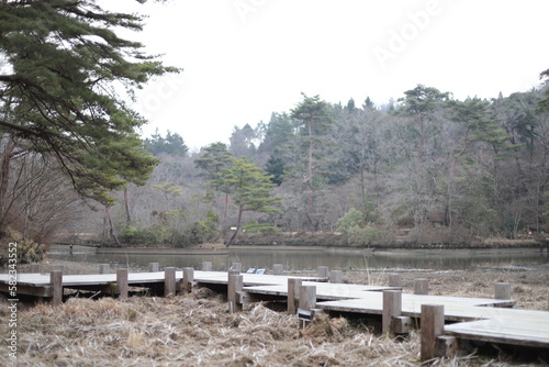 神戸森林植物園１２
