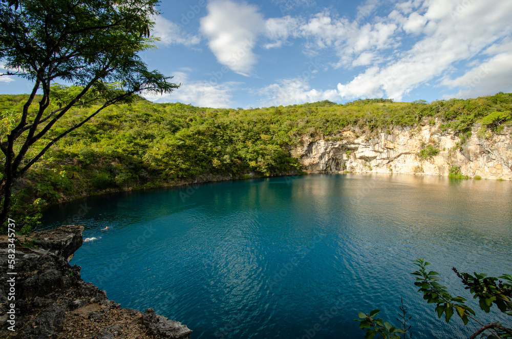 A large and beautiful cenote in a tropical country
