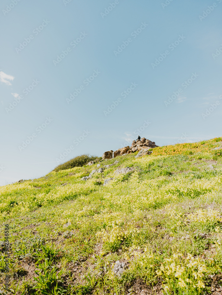 Obraz premium San Francisco