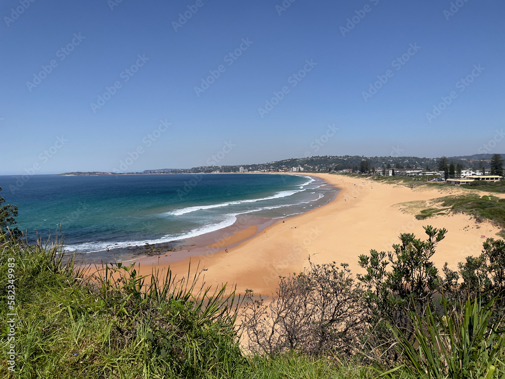 view of the beach from a headland Sydney Australia