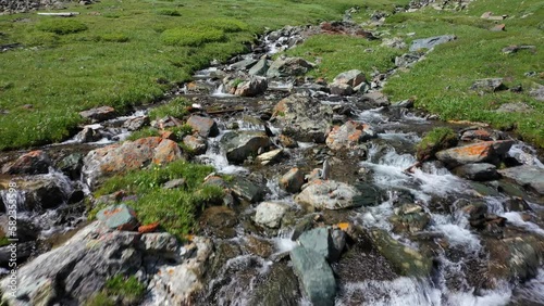 Video of waterfall on Altai river Yarlyamry. The cascade on the stream is surrounded by alpine forb meadows. photo