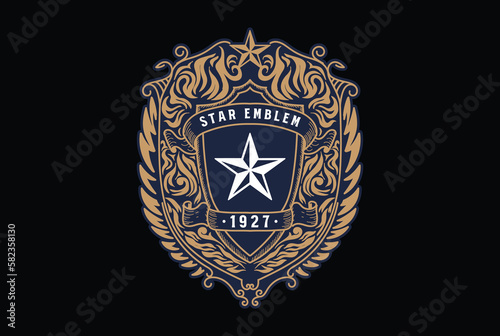 Vintage Retro Strong Bold Texas Star Badge Emblem Label Logo Design