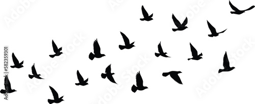 Fototapeta Naklejka Na Ścianę i Meble -  Flying birds silhouettes pattern wallpaper. PNG transparent. isolated bird flying. tattoo design. template for card, package, and wallpaper.