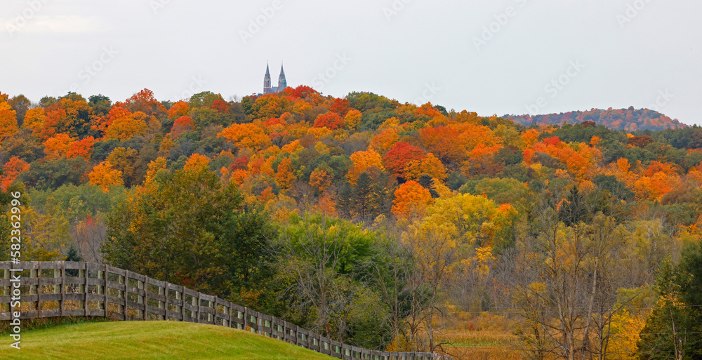 Obraz premium Fall color trees in Wisconsin.