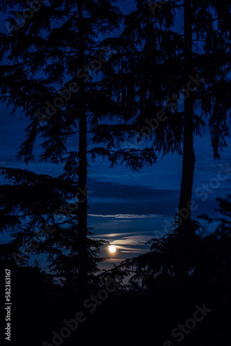 Pacific Northwest moonrise from Lopez Island photo