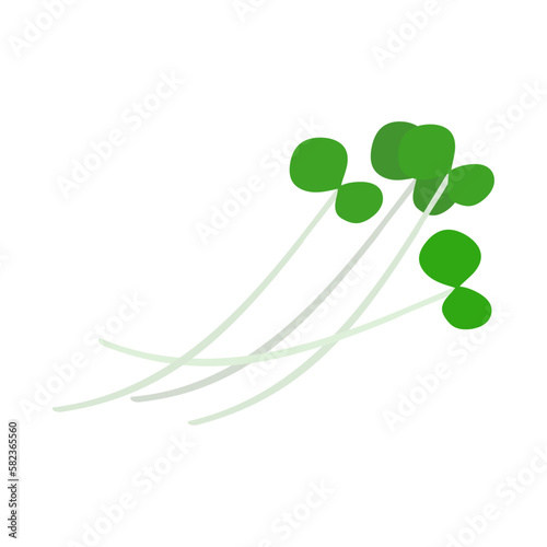 かいわれ大根。フラットなベクターイラスト。
Daikon radish sprouts. Flat designed vector illustration.