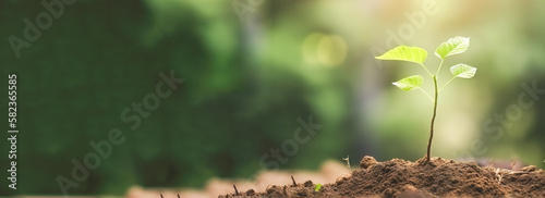 Young green plant growing at sunlight in the garden. World Earth Day banner. Save world concept