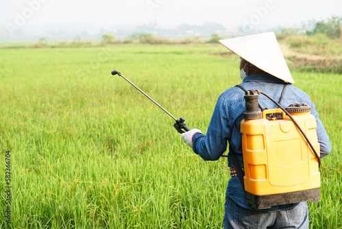 Asian farmer uses herbicides, insecticides chemical spray to get rid of weeds and insects or plant disease in the rice fields. Cause air pollution. Environmental , Agriculture chemicals concept. 