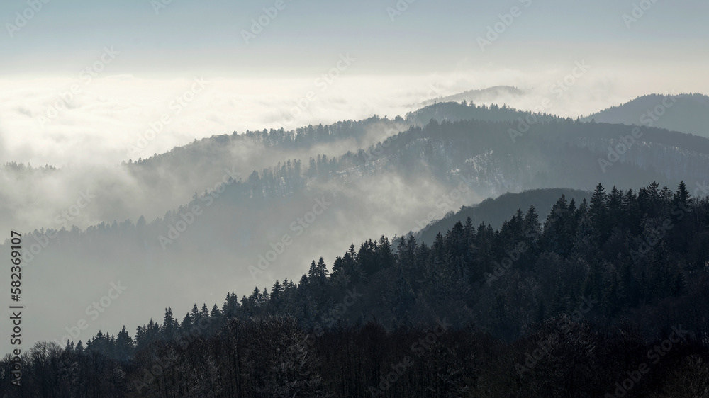 Paysage de montagne en hiver