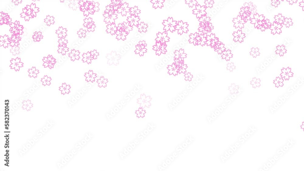 cherry blossom loop background material cherry blossom loop background material
