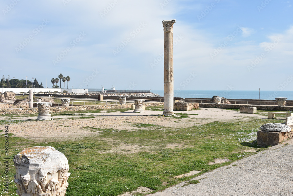 Surface Level Ruins with Single Tall Column on Mediterranean Sea at Baths of Antoninus, Carthage