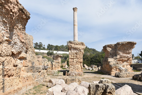 Single Column atop Roman Bath Ruins at Baths of Antoninus, Carthage