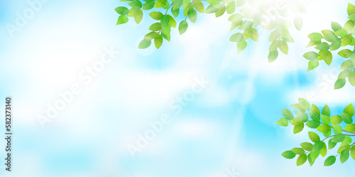 新緑　葉　風景　背景	