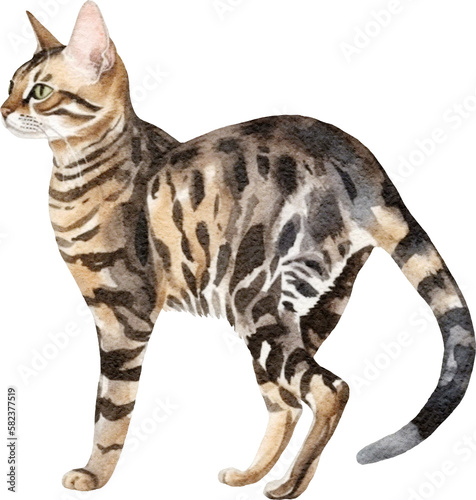 Bengal cat breed illustration created with Generative AI technology © Anastasiya