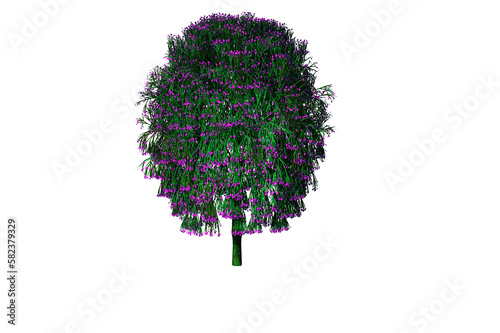 shape flowering scrub 1 white background 3d rendering
