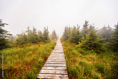 Mountain landscape in Jeseniky, view of the mountain range from the hiking trail on the top of small Jezernik from cernohorske saddle. A pathway for hikers through bog photo
