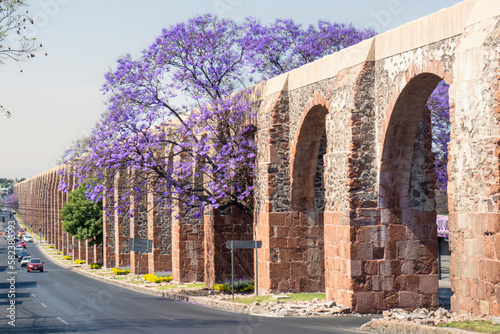 Fotografiet Queretaro Mexico aqueduct with jacaranda tree and purple flowers