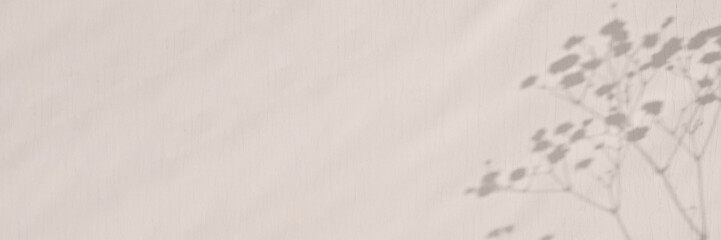 Floral sunlight shadows on neutral beige wall, aesthetic minimalist natural background, web banner design with copy space