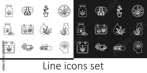 Set line Head in profile with marijuana, Marijuana or cannabis leaf oil, plant pot, Calendar and, Medical bottle, and Test tube icon. Vector