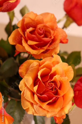 Natural orange colour flowers  nature decor photography