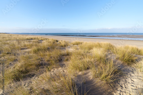 Fototapeta Naklejka Na Ścianę i Meble -  Oyster farming and sand dunes of Bricqueville-sur-Mer beach