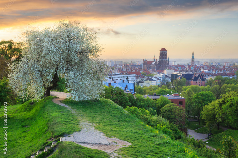 Beautiful spring sunrise over a blooming tree and the Main City of Gdansk, Poland