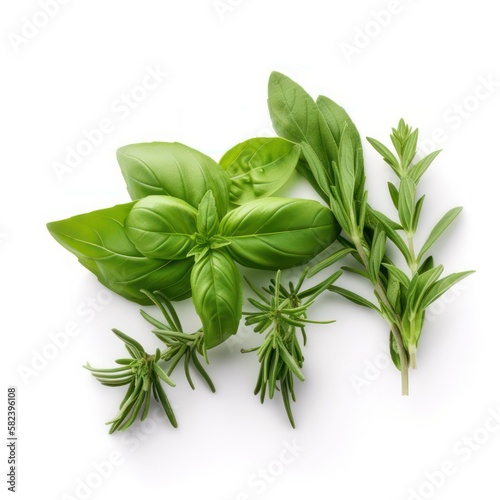 rosemary basil leaves insulated on a white background. generative AI