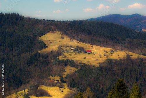 Fototapeta Naklejka Na Ścianę i Meble -  Lonely houses on mountain slope in early spring