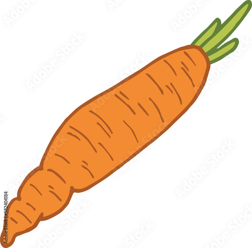 Intresting carrot on white background. Vector image.