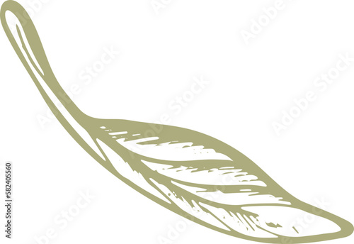 Olive green fruit. Nature vector texture plant, sketch fruit, vintage leaf. Organic badge. Vegan health nutrition