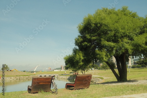 Cycling Along the Riverside with Scenic Trees