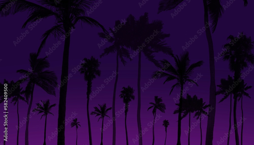 Coconut trees at night