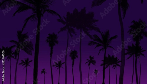 Coconut trees at night