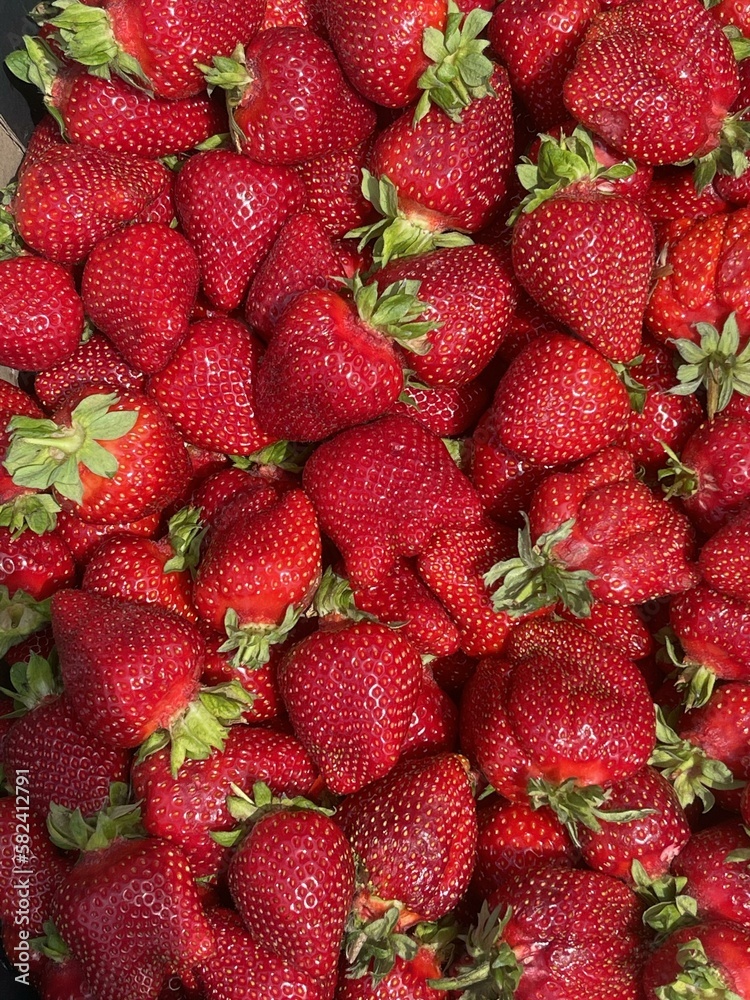 Strawberry Strawberry