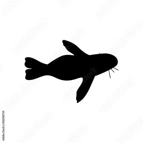 Seal Character sea animal on deep background. Wild life illustration. Underwear world. Vector illustration.