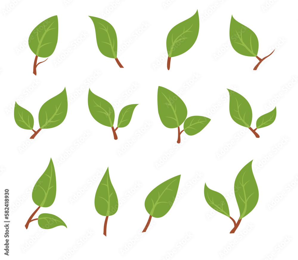 Leaves icon vector set isolated on white background. Fresh spring foliage. Environment and ecology backdrop. Vector Illustration