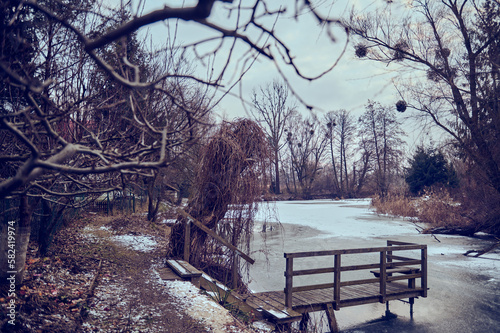 A wooden footbridge with a handrail over a frozen lake in winter