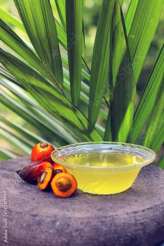 Palm fruits (Elaeis guineensis, buah kelapa sawit) on a stone table and bokeh background photo